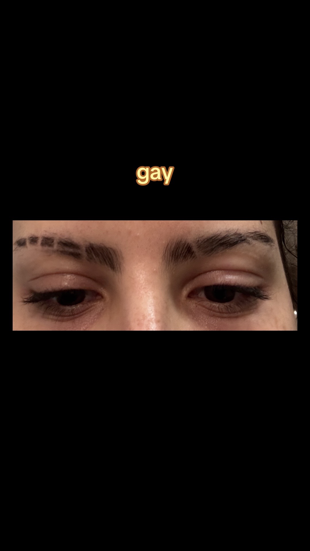 @cat kitty