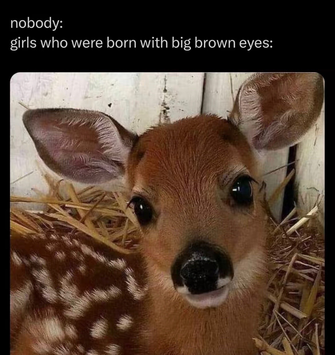 @teresa