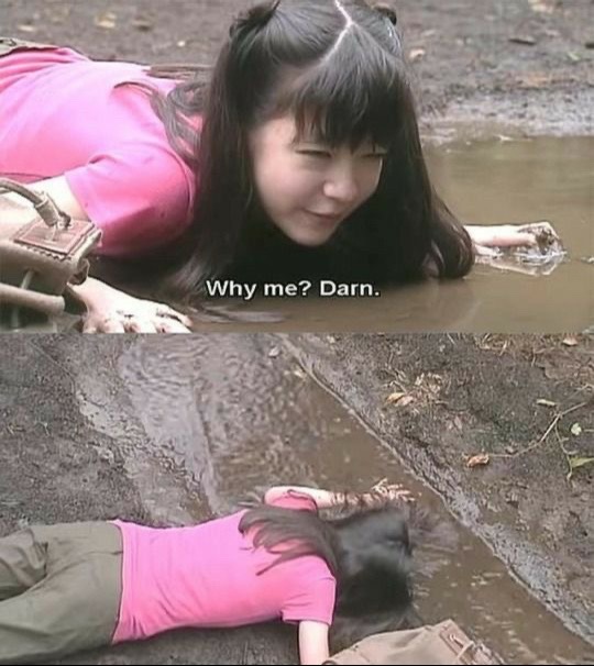 @miya