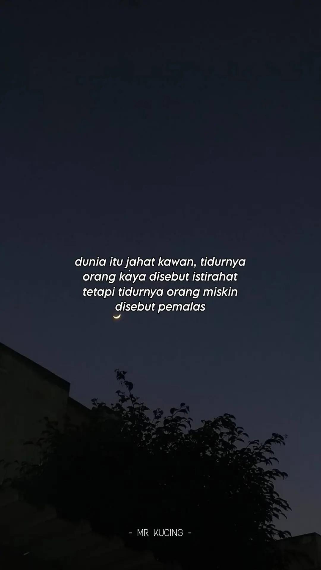 @MR KUCING 🇵🇸
