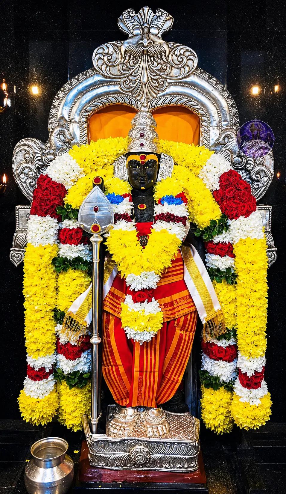 @💜🦚வேதா🔱🌝