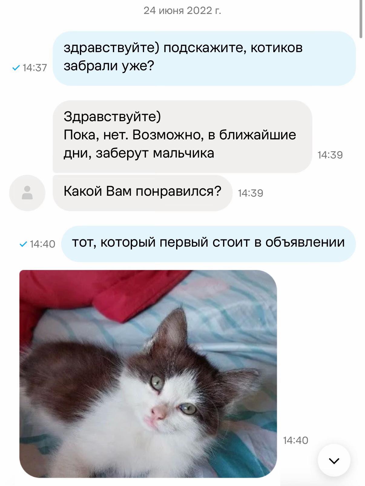 @тгк лера дискотека