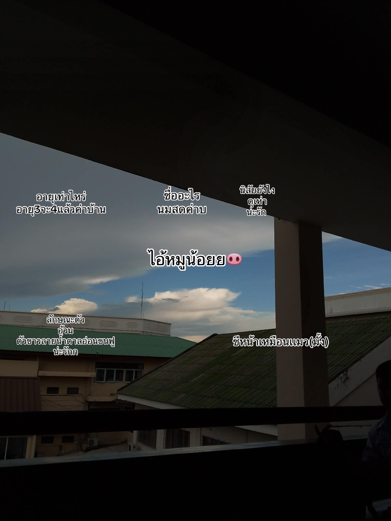 @อ.ไอซ์🐶🤏🏻(1.5k)