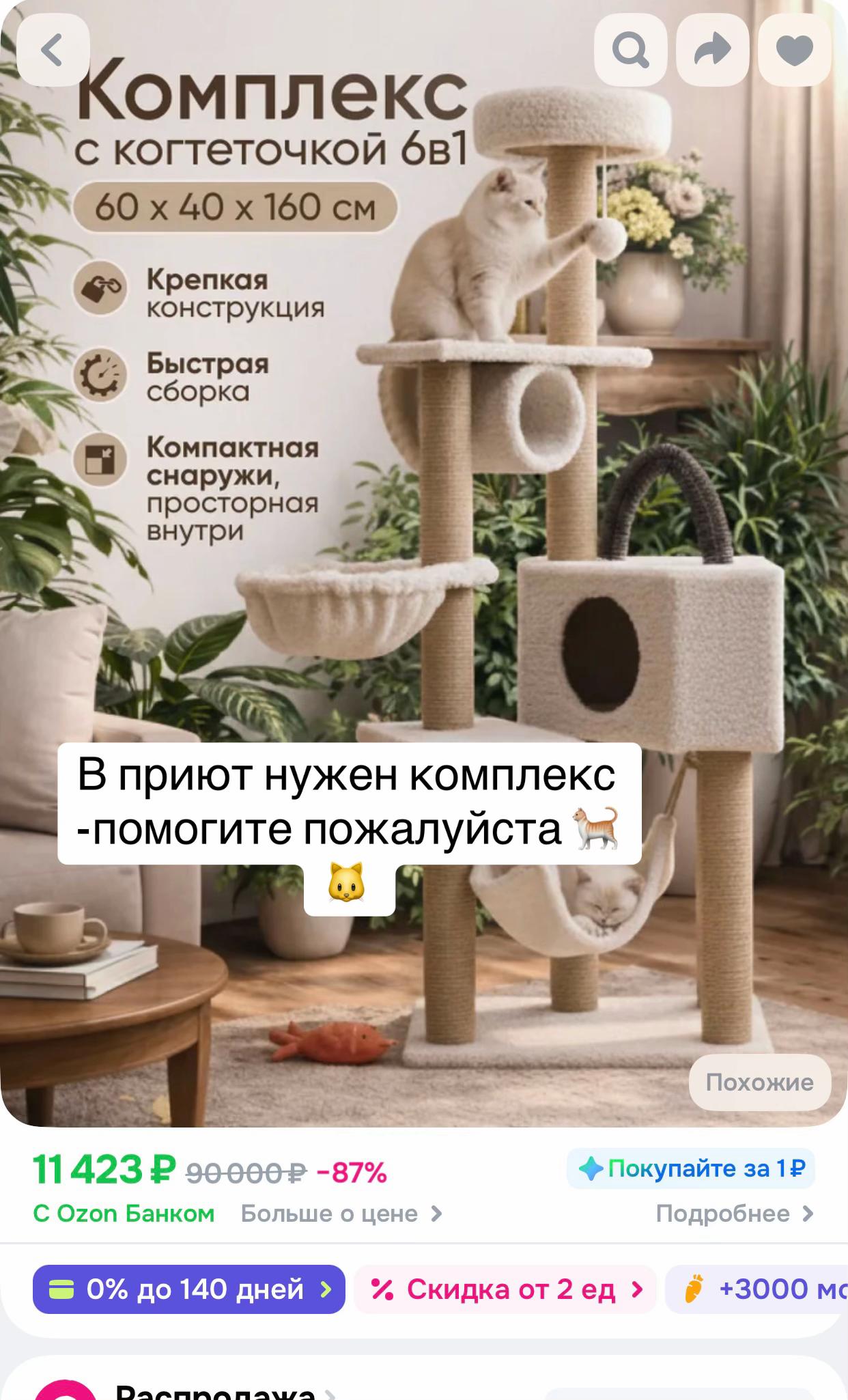 @zoo_cat_dog
