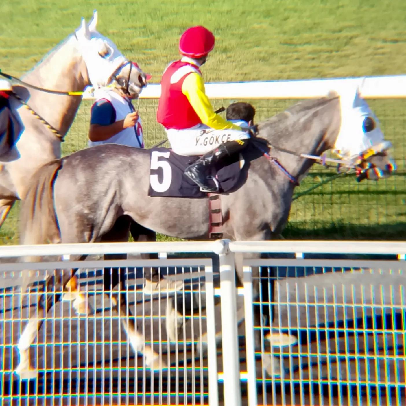 @brs horse racing