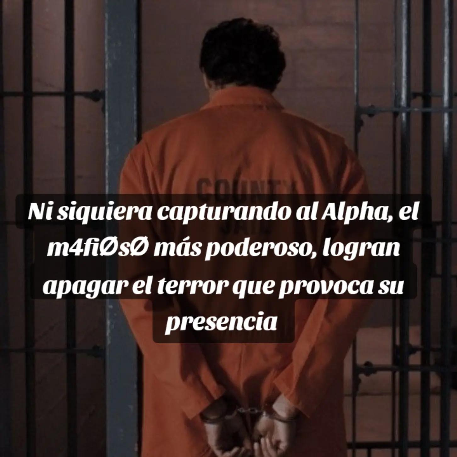@aribooks.0