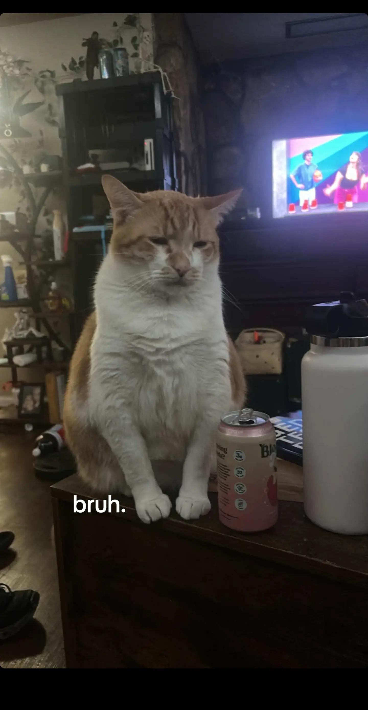@Lucas