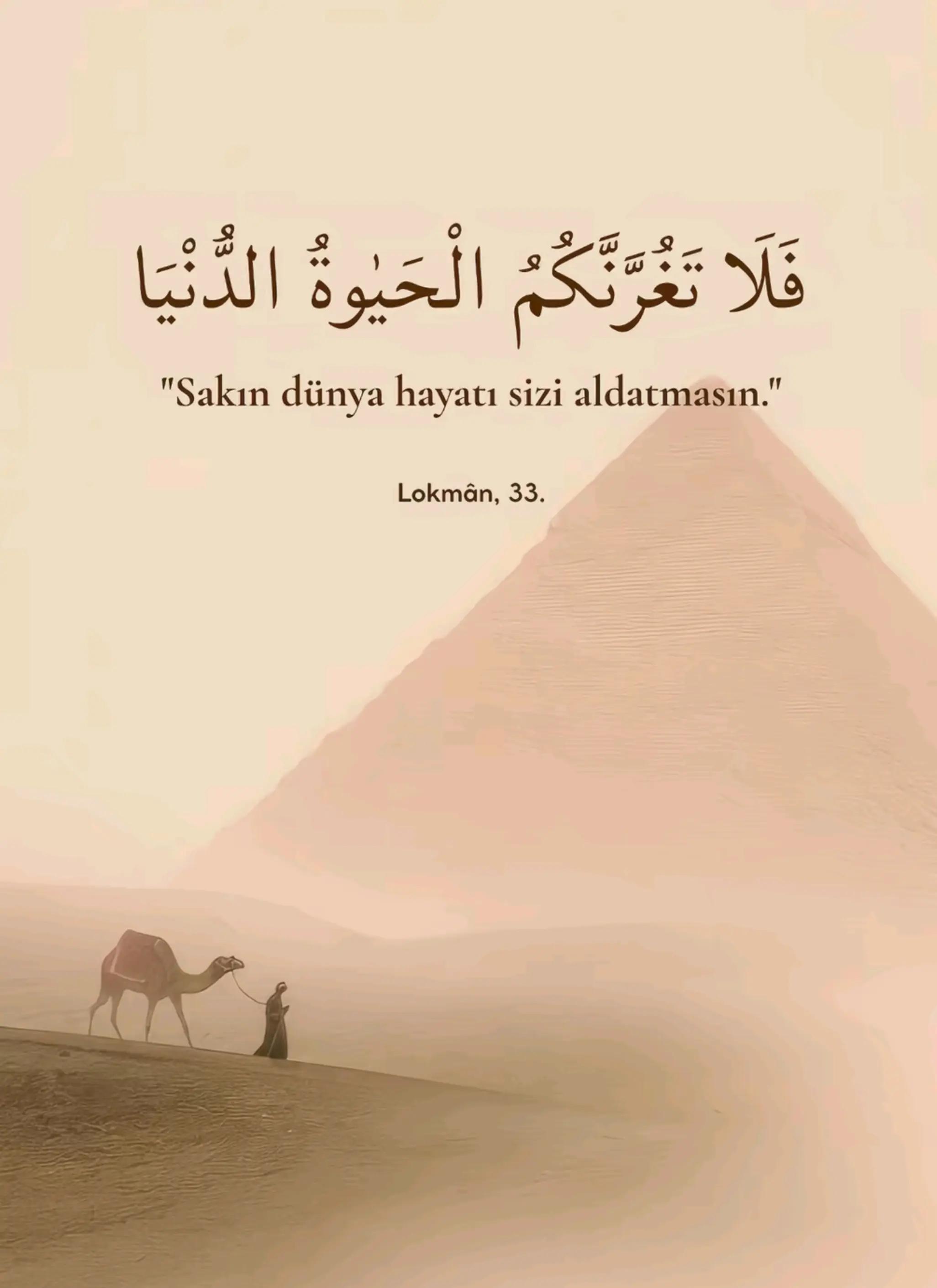 @Kadir Kocak ꪜ