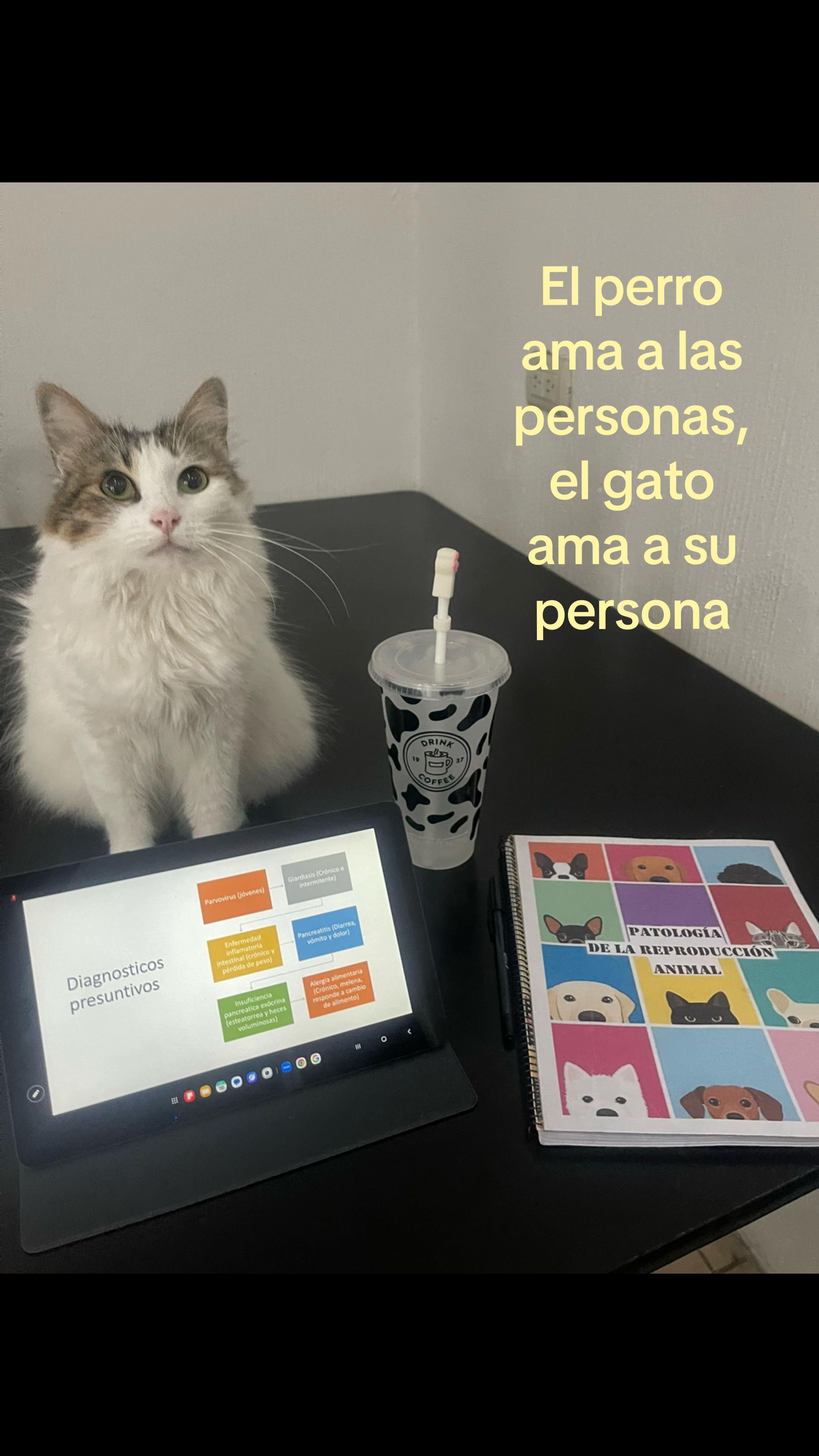 @bluebaobaoo