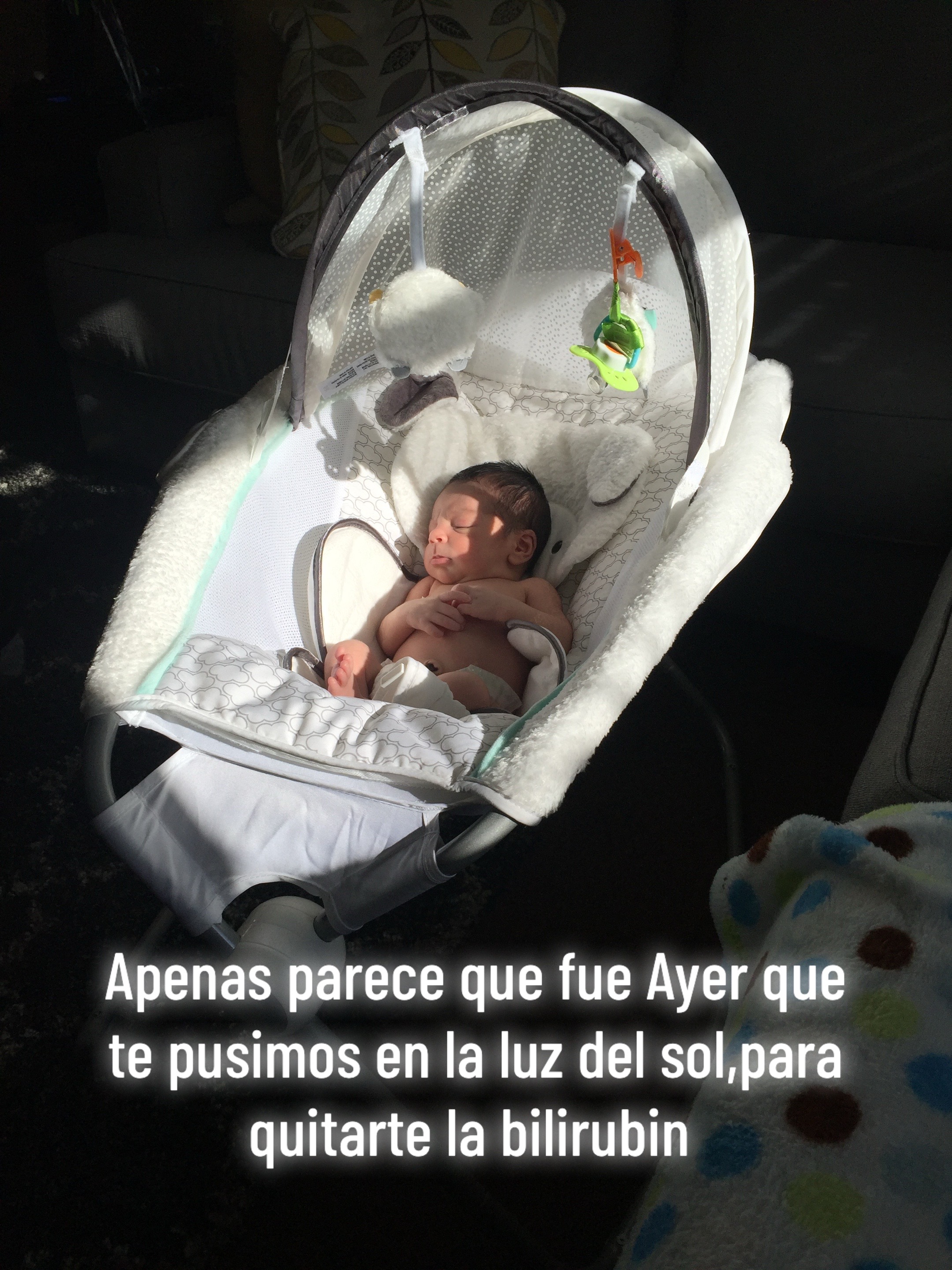@Monica Patino