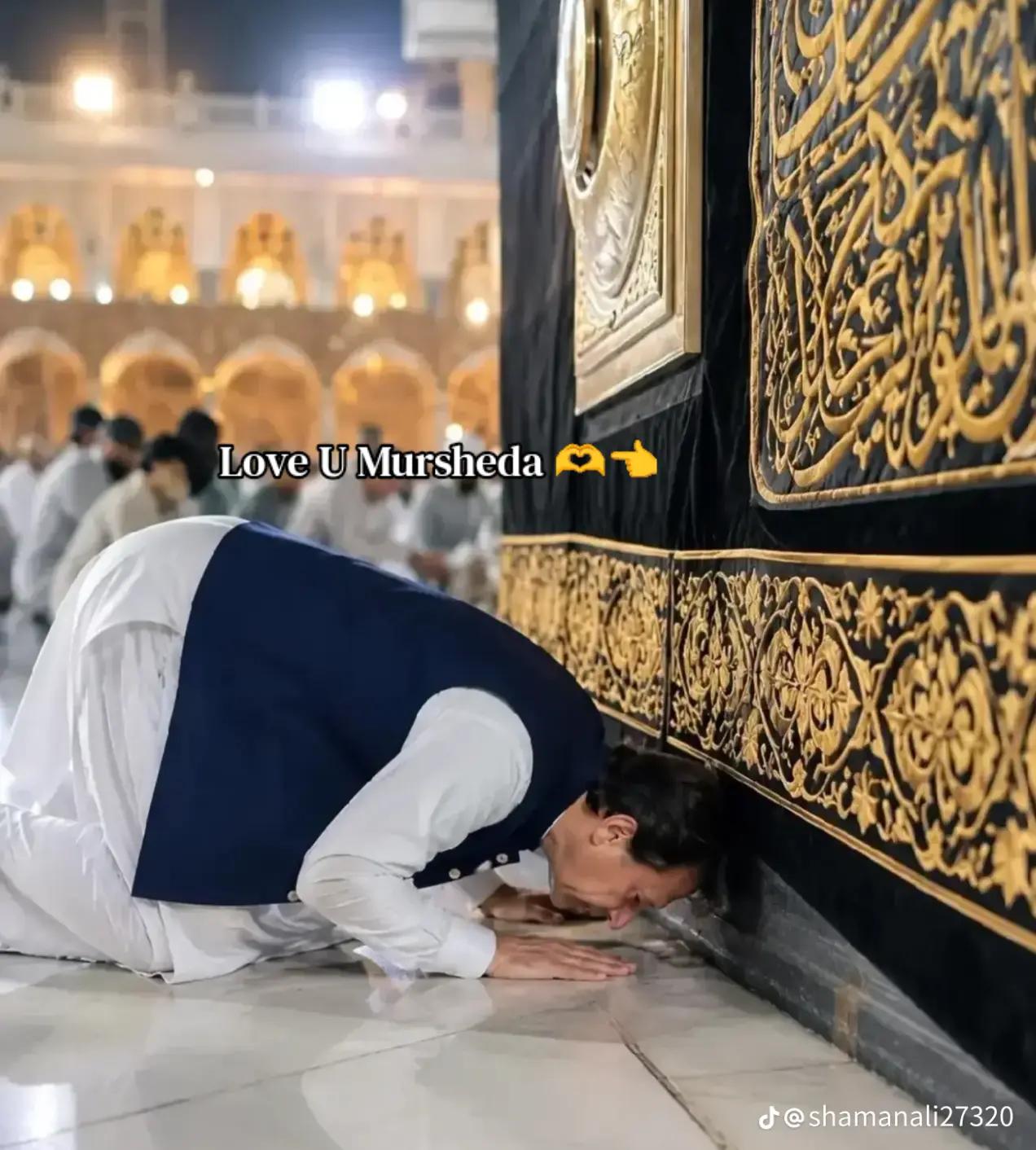@ミ🫶 𝘝𝘪𝘬𝘪 آفر یدی 🫶彡