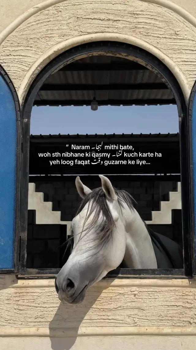 @۵ب🚩۰