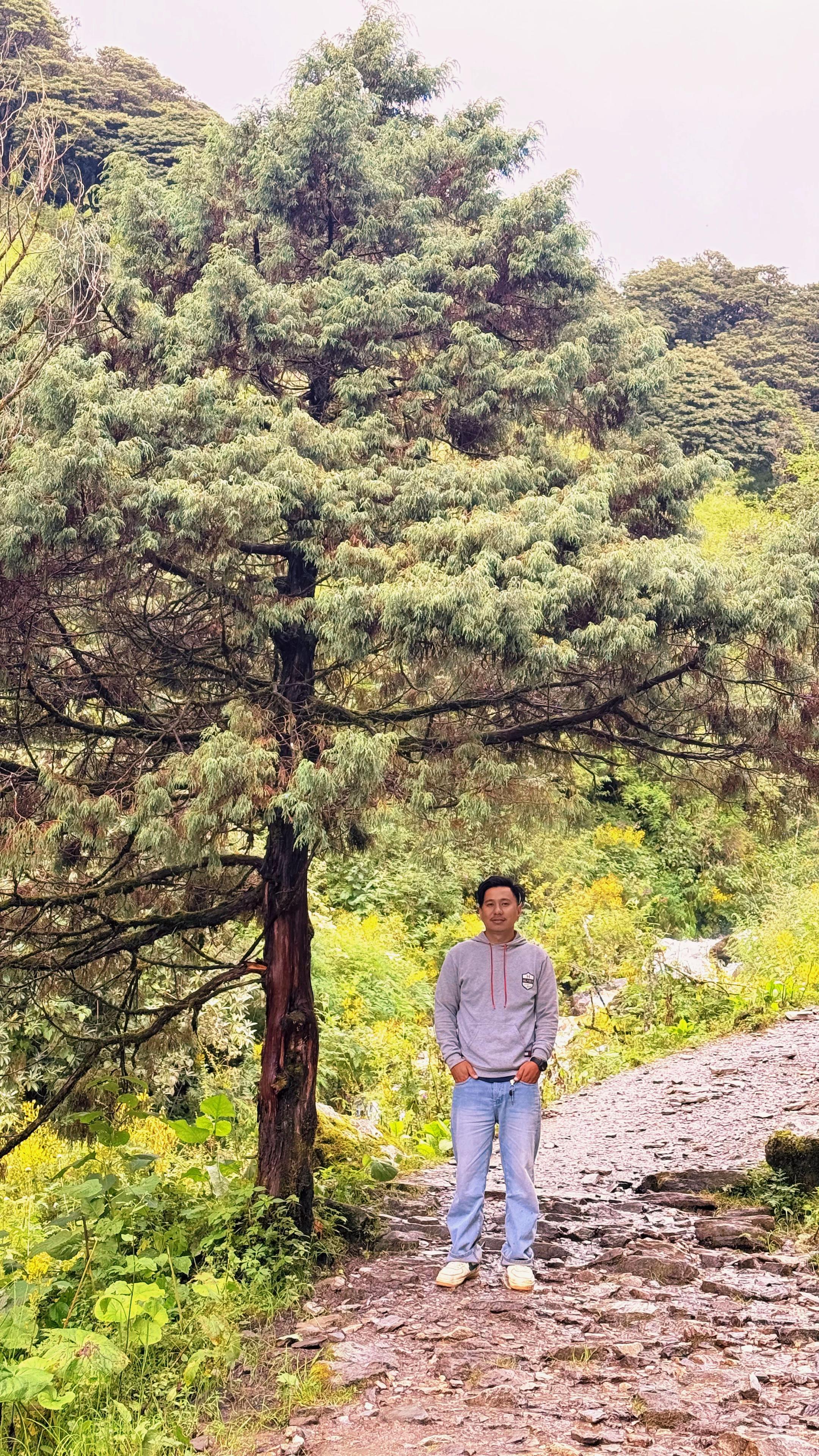@Love Thapa Magar