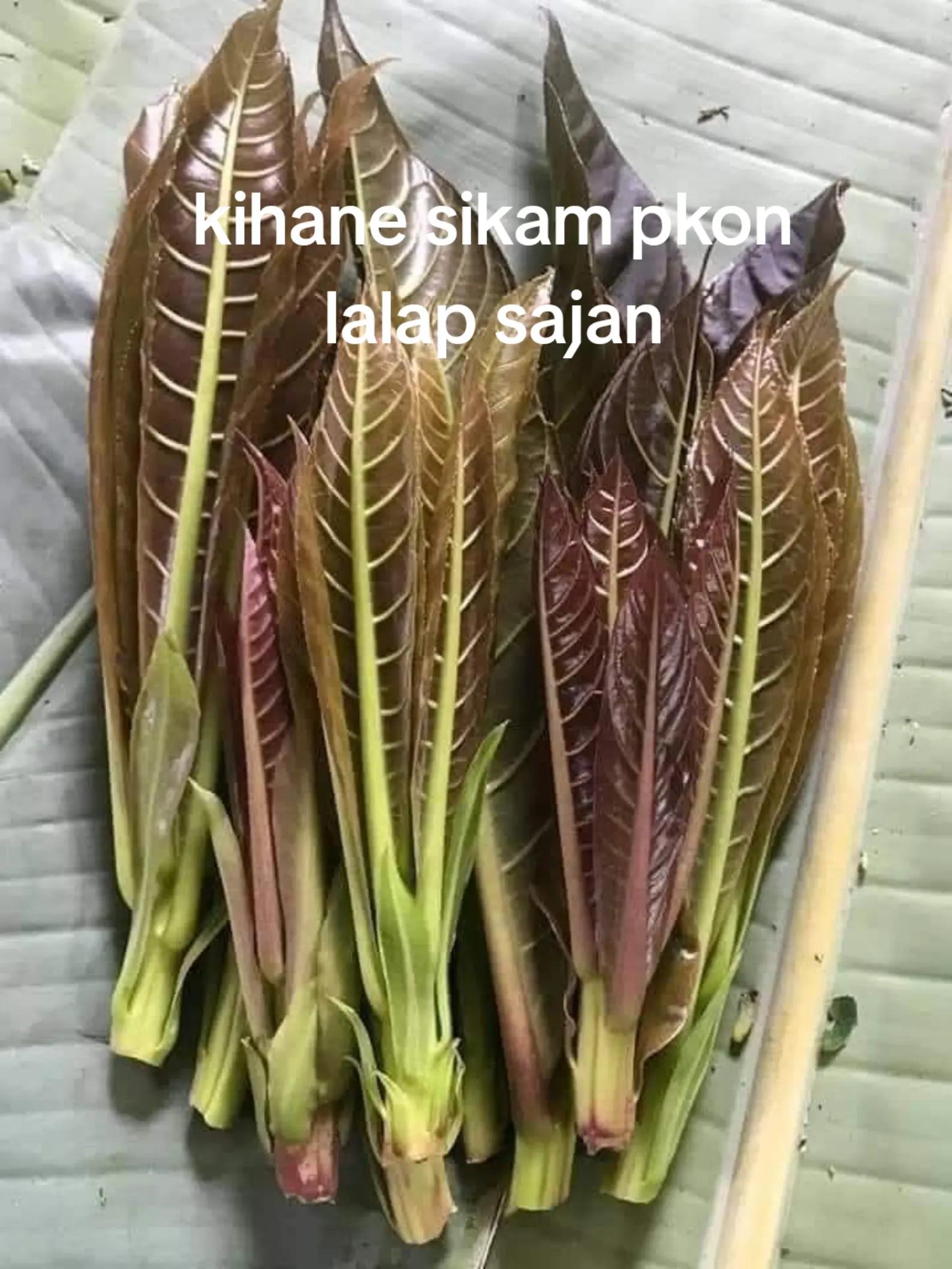 @YANTO TREVEL