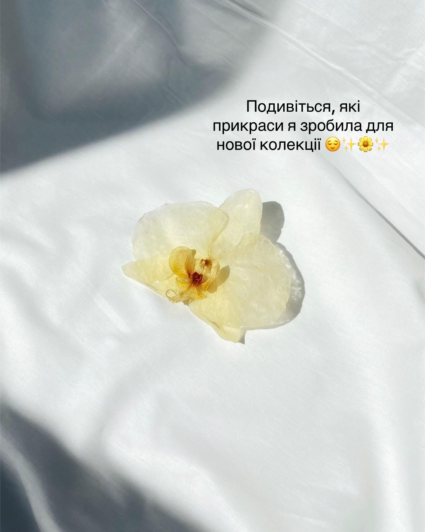 @saintina