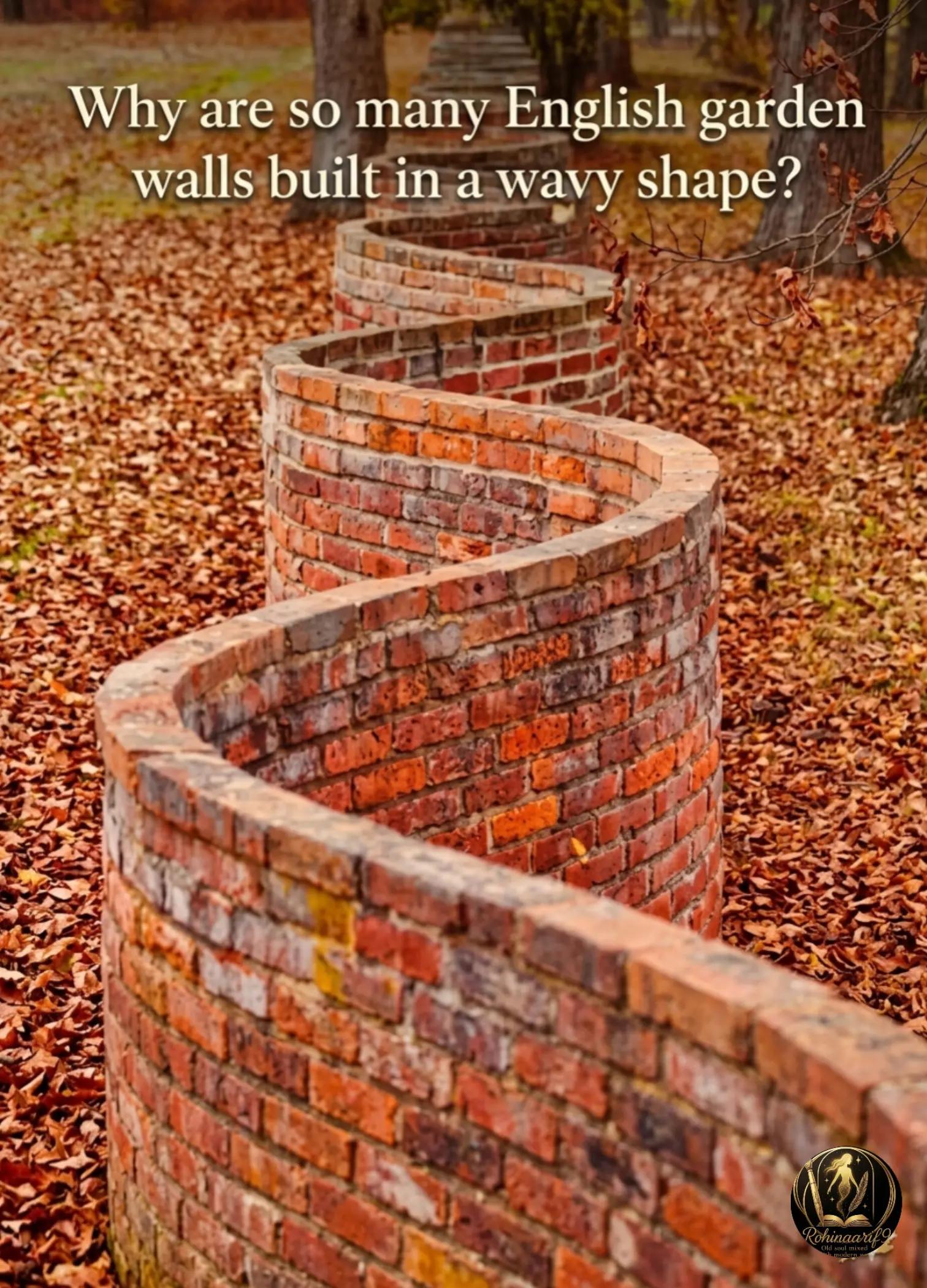 @𝑹𝒐𝒉𝒊𝒏𝒂 𝑨𝒓𝒊𝒇
