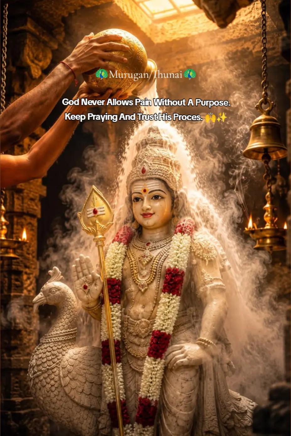 @🌜మెష్నాగా🌛