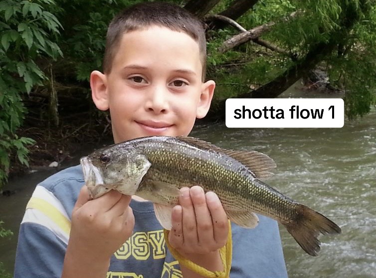 @Matt K