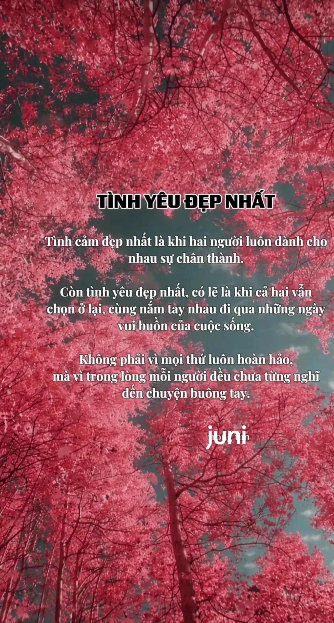 @juni