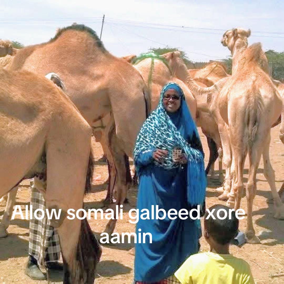 @zahraRaydabkhatumo iyo robki