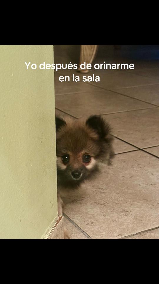 @RAFG