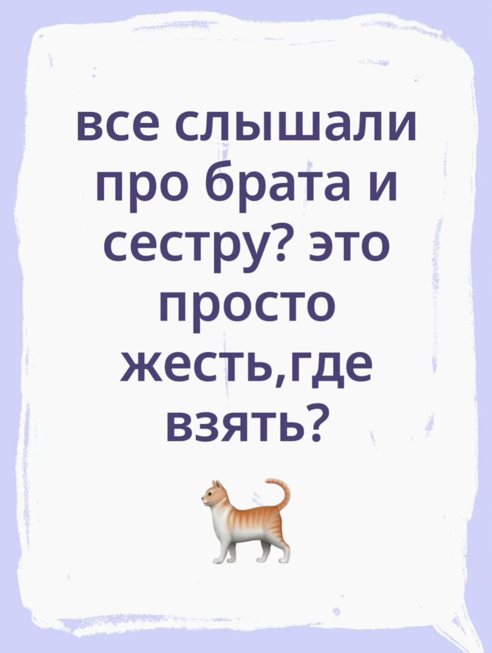 @csdog.i0