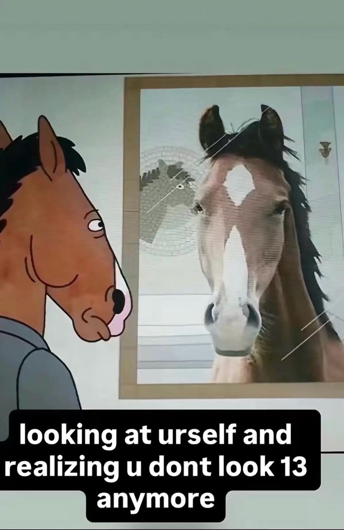 @hay