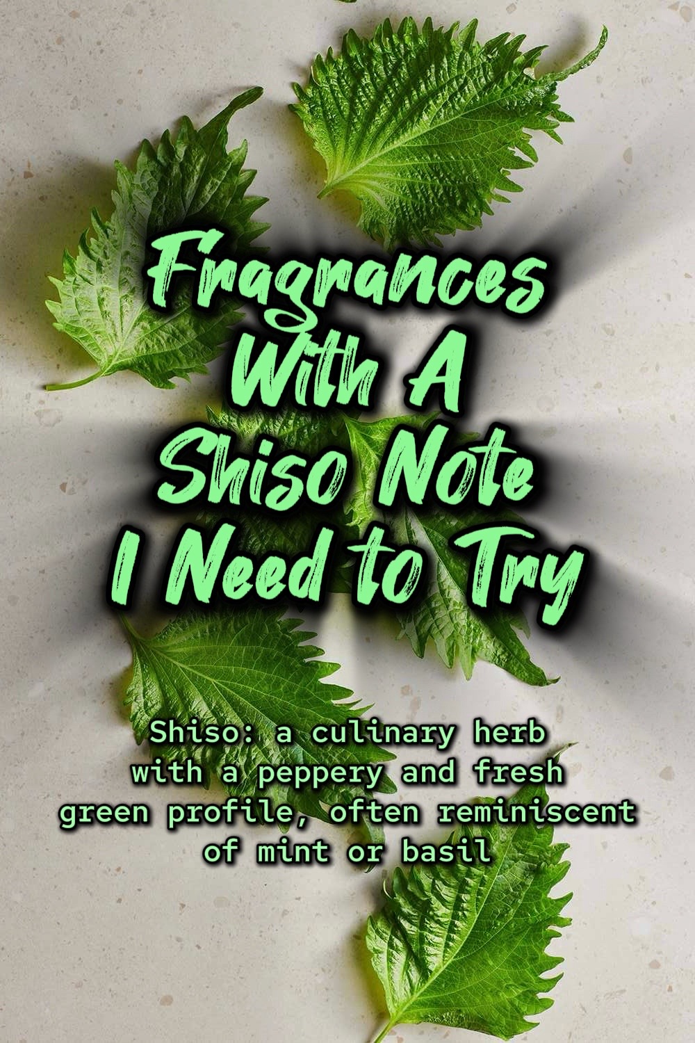 @Scratch & Sniff Perfumes