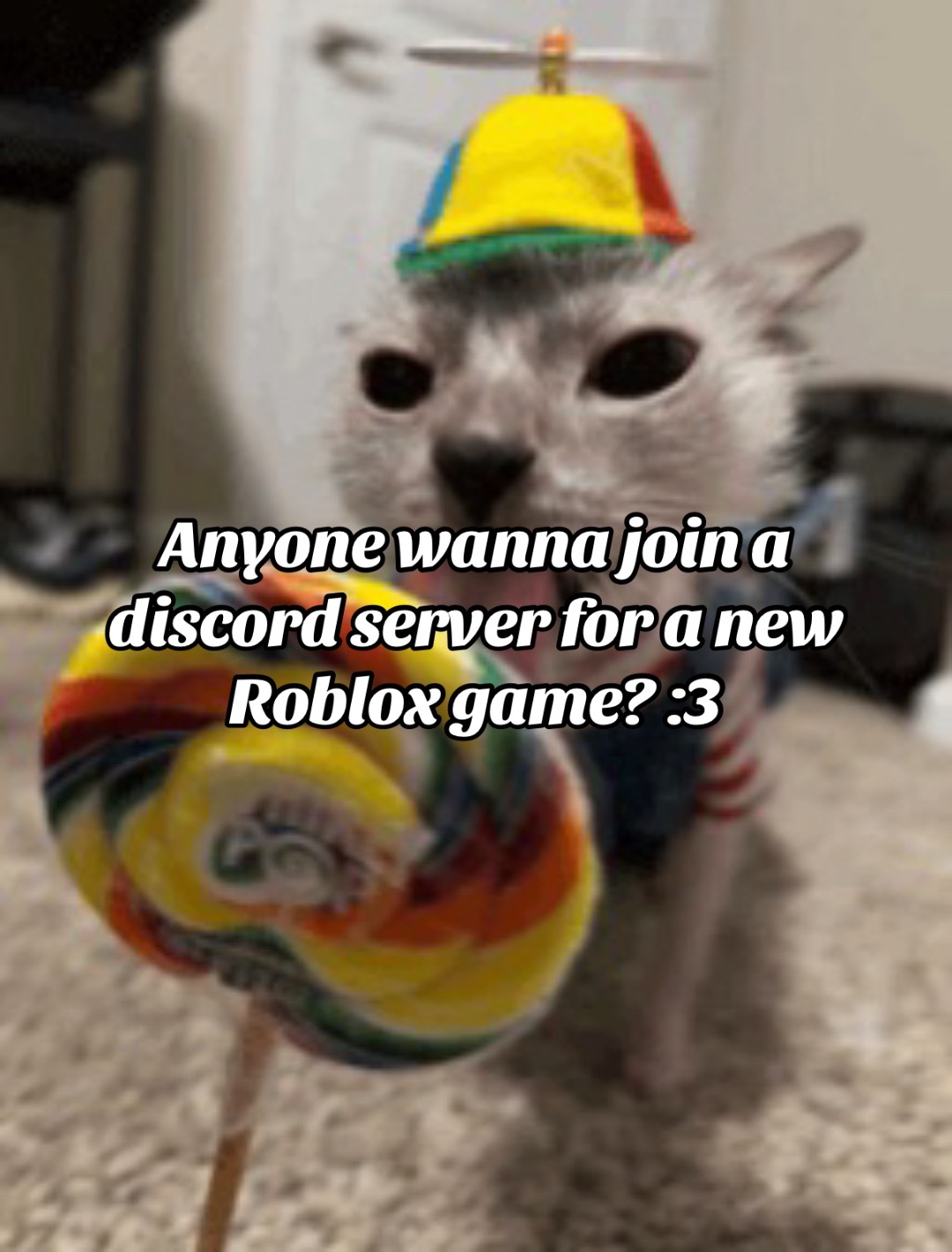 @Sun_the_snep