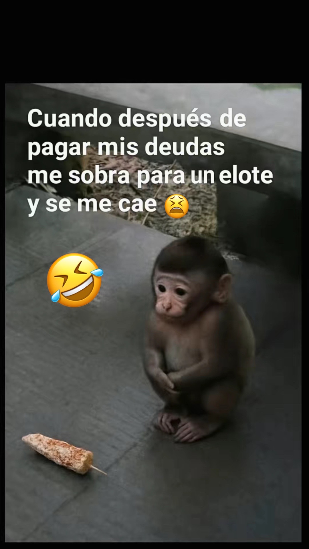 @💜🇭🇳🍫Chocolatito🍫🇭🇳💜