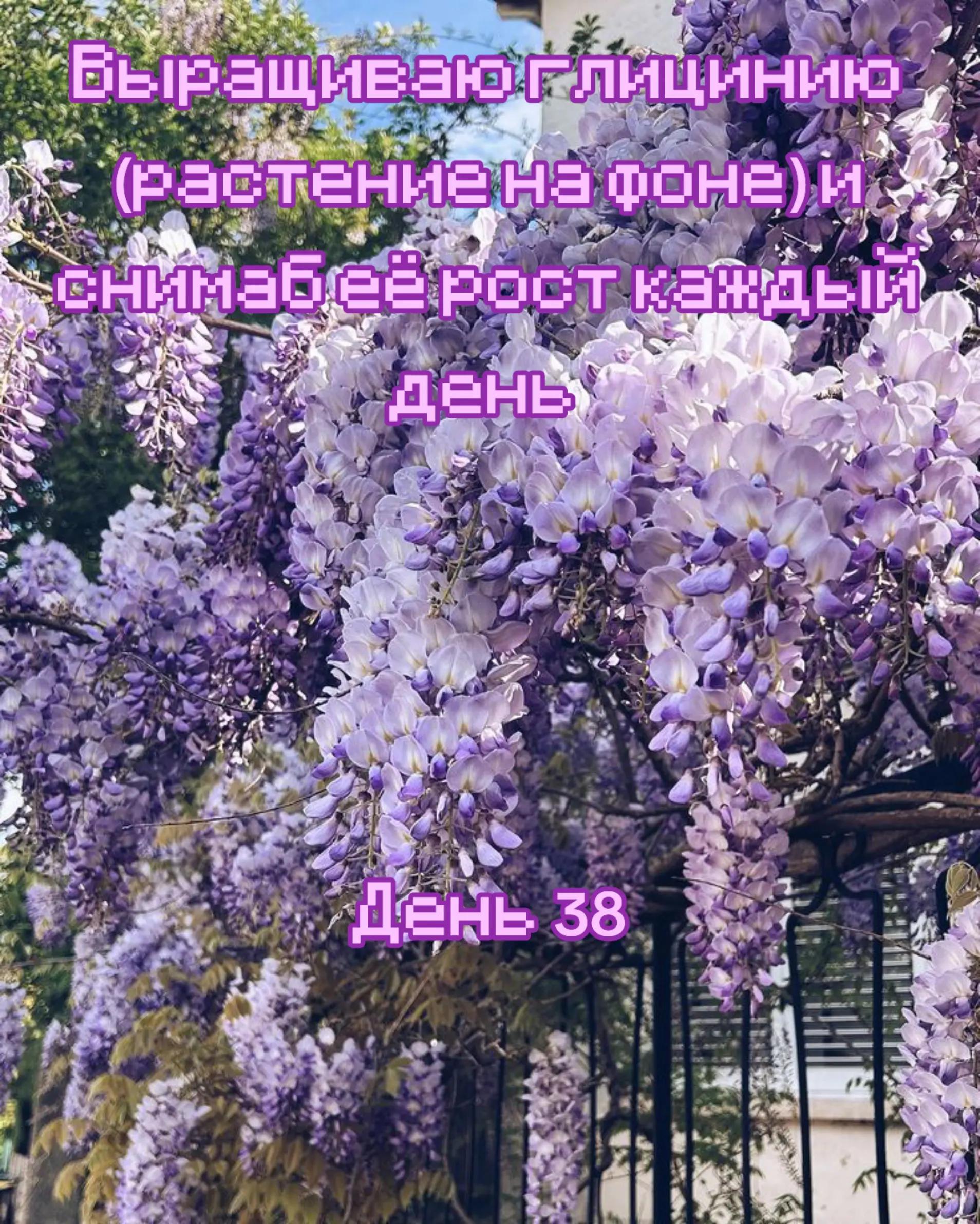 @Дрелька [nu]