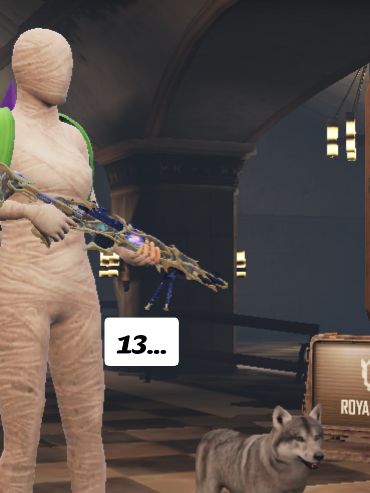 @ukrop panda pubg