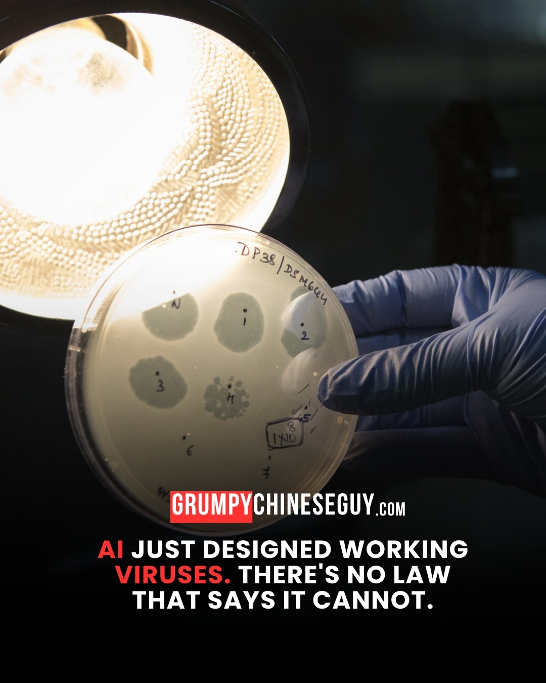 @GrumpyChineseGuy
