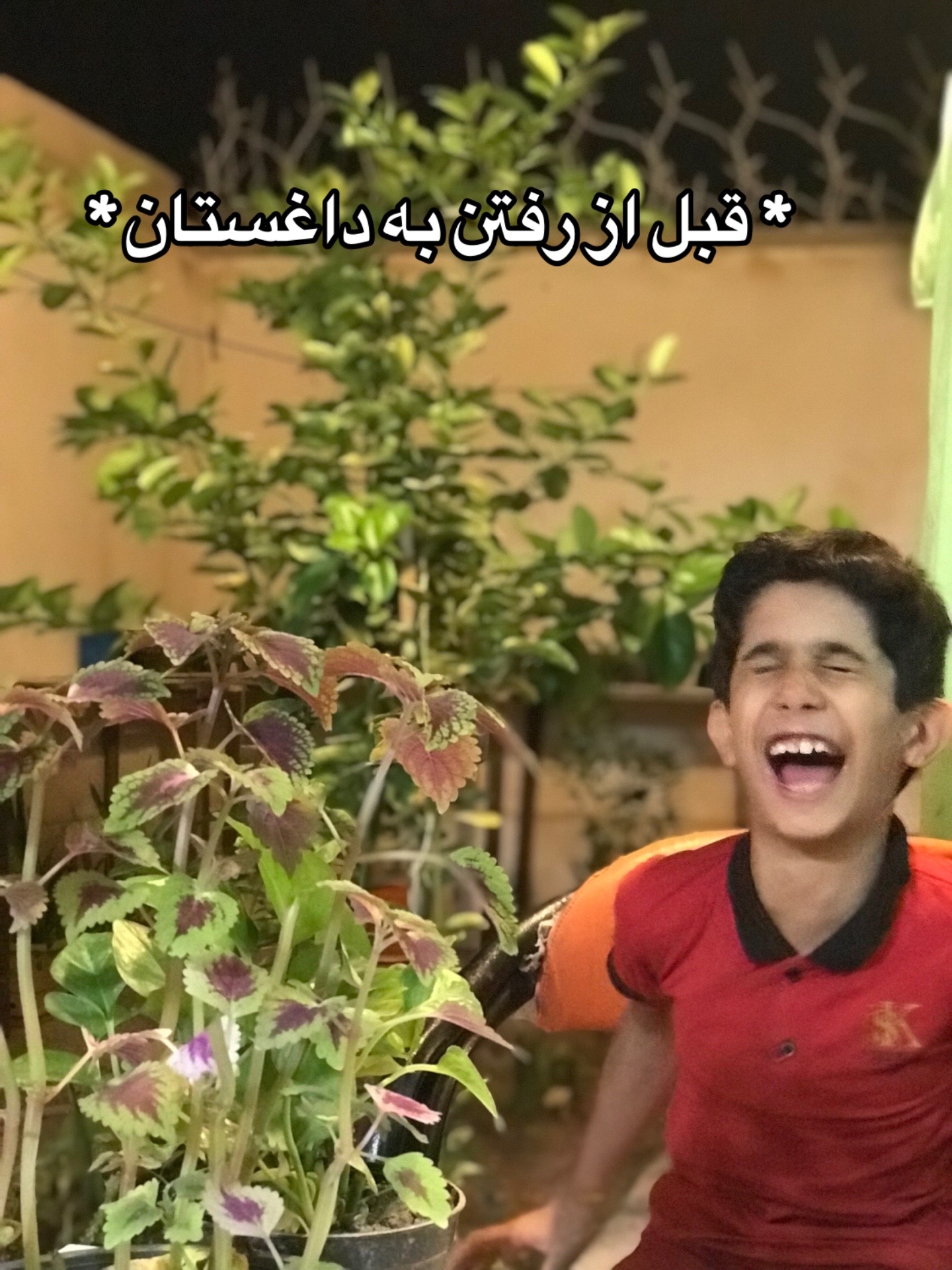 @noyan12w