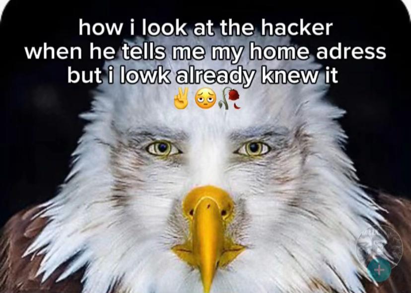 @Meme_FYP