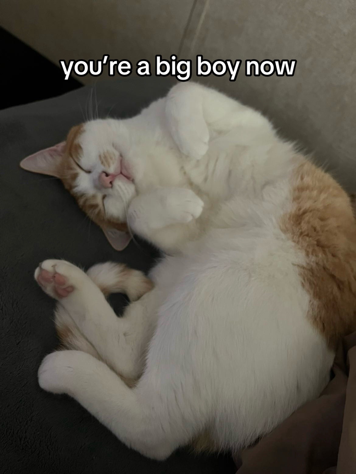 @KP