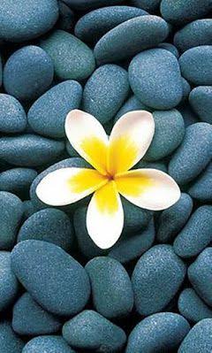 @💫 Mohamed 💫