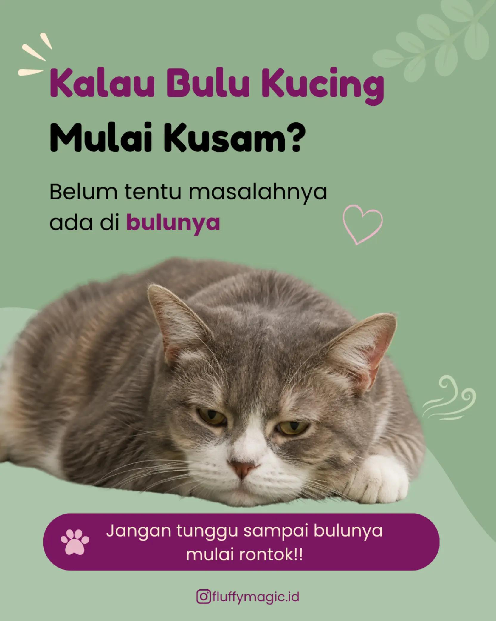 @Fluffy Magic