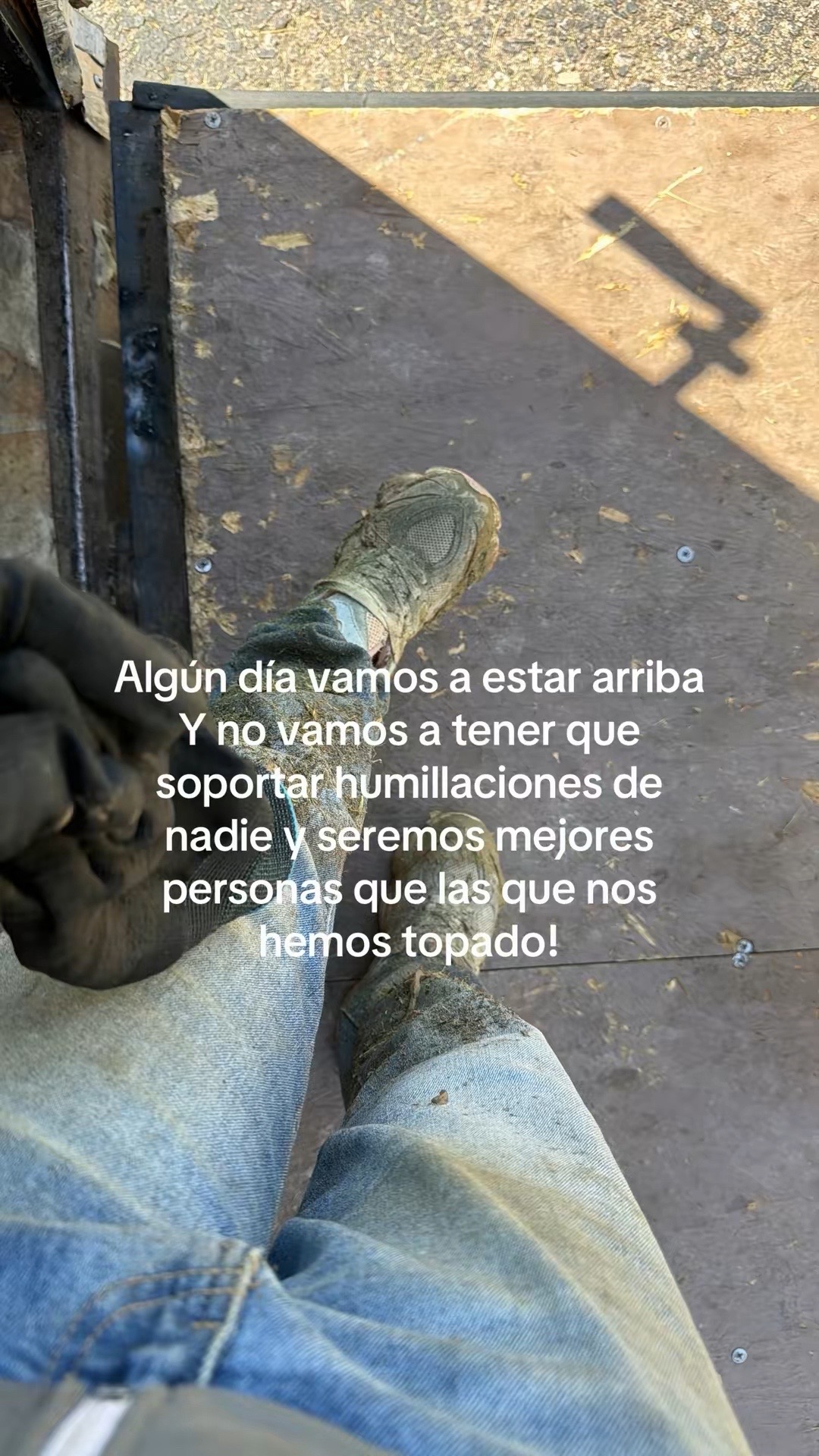@Jazmin Ibañez.