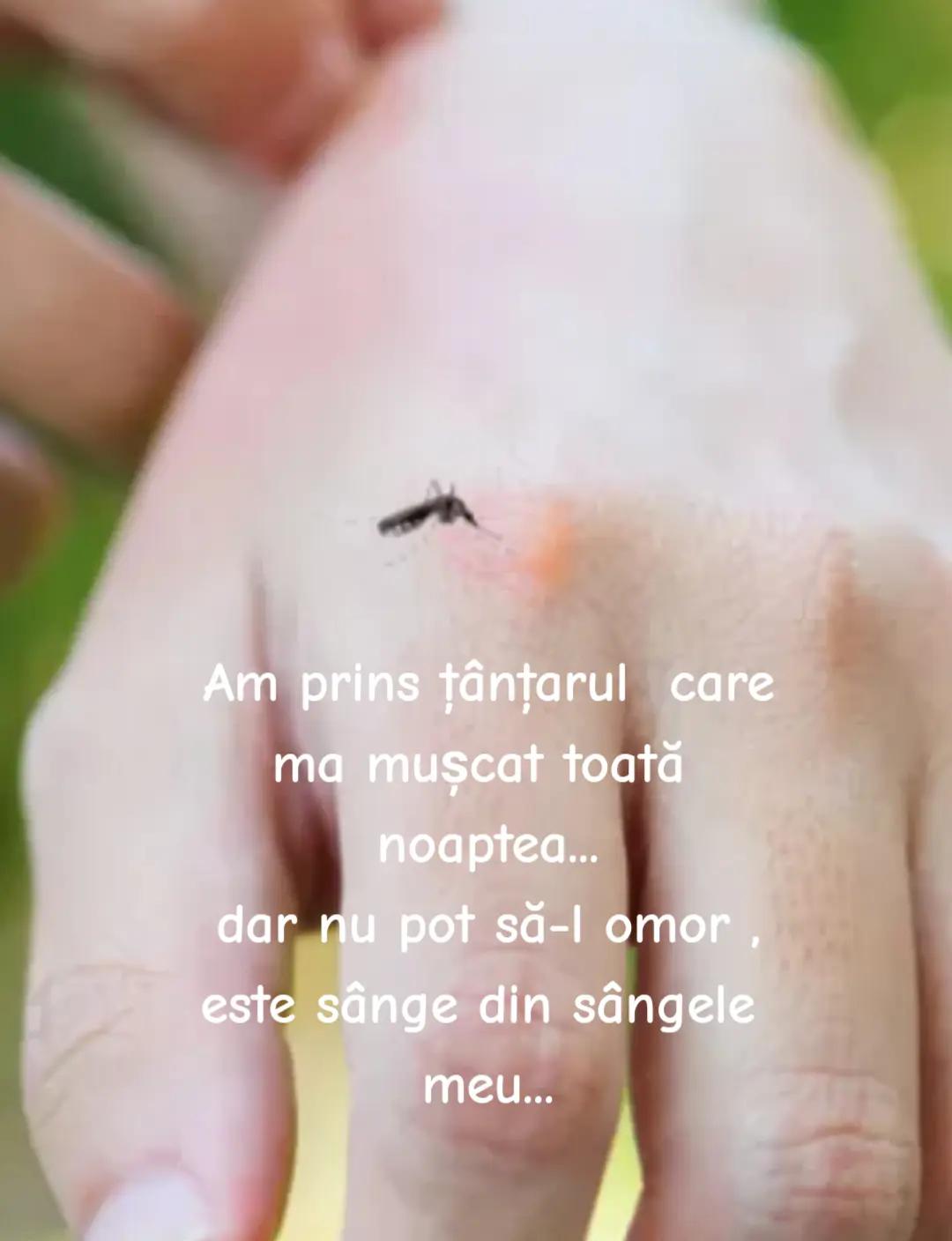 @,,Un Anonim"