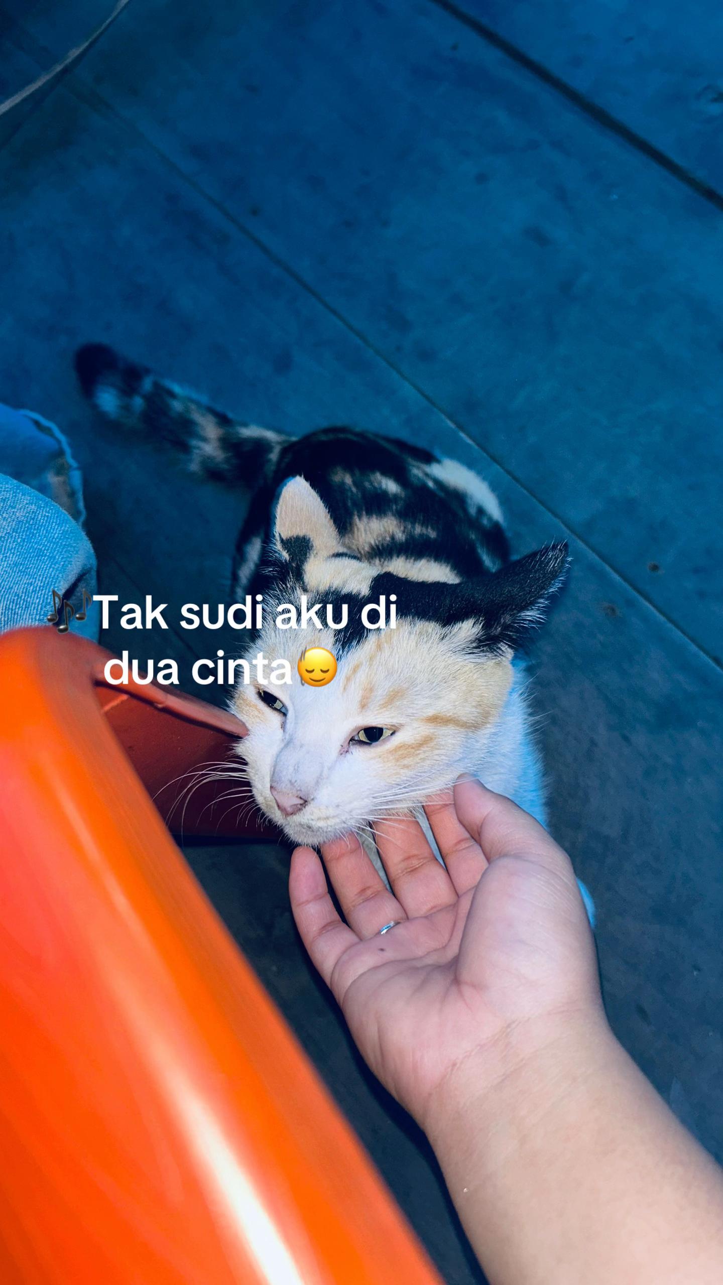 @Ainunn_03
