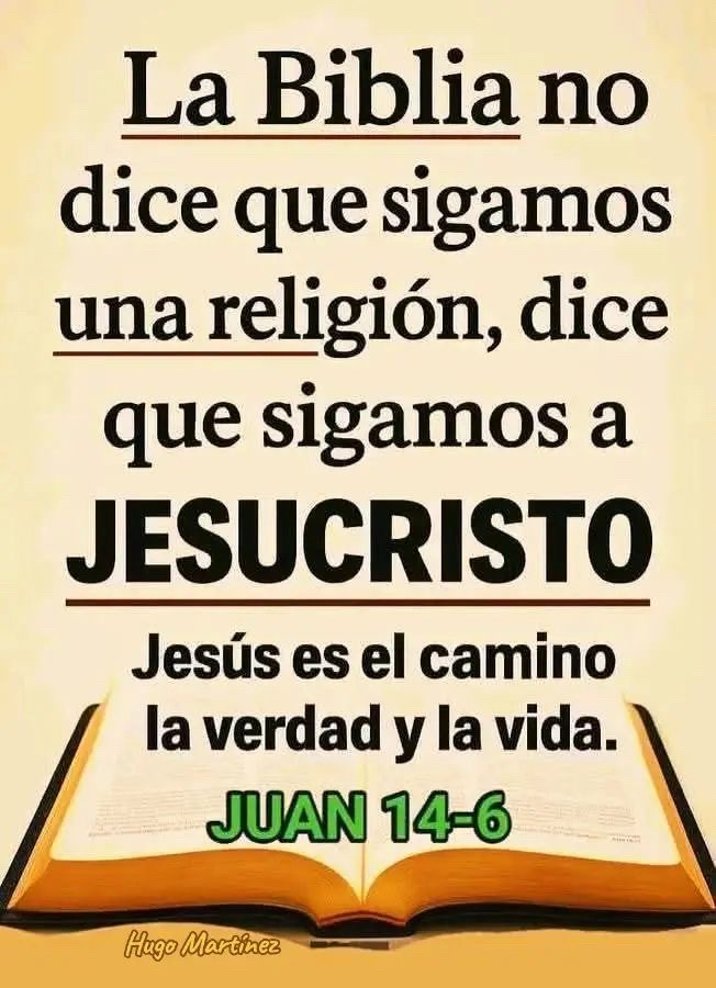 @N Hernández . 💚🦋🇲🇽🇲🇽