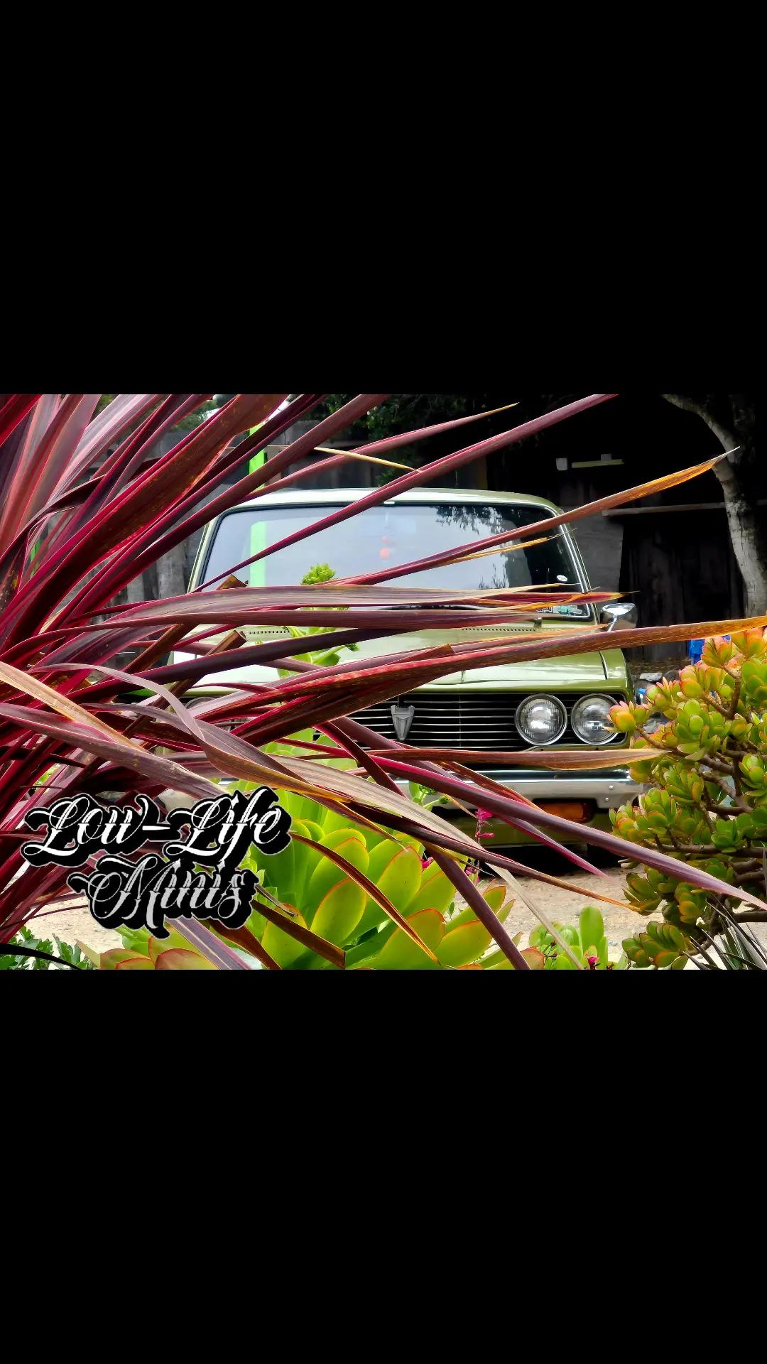 @low_life_minis