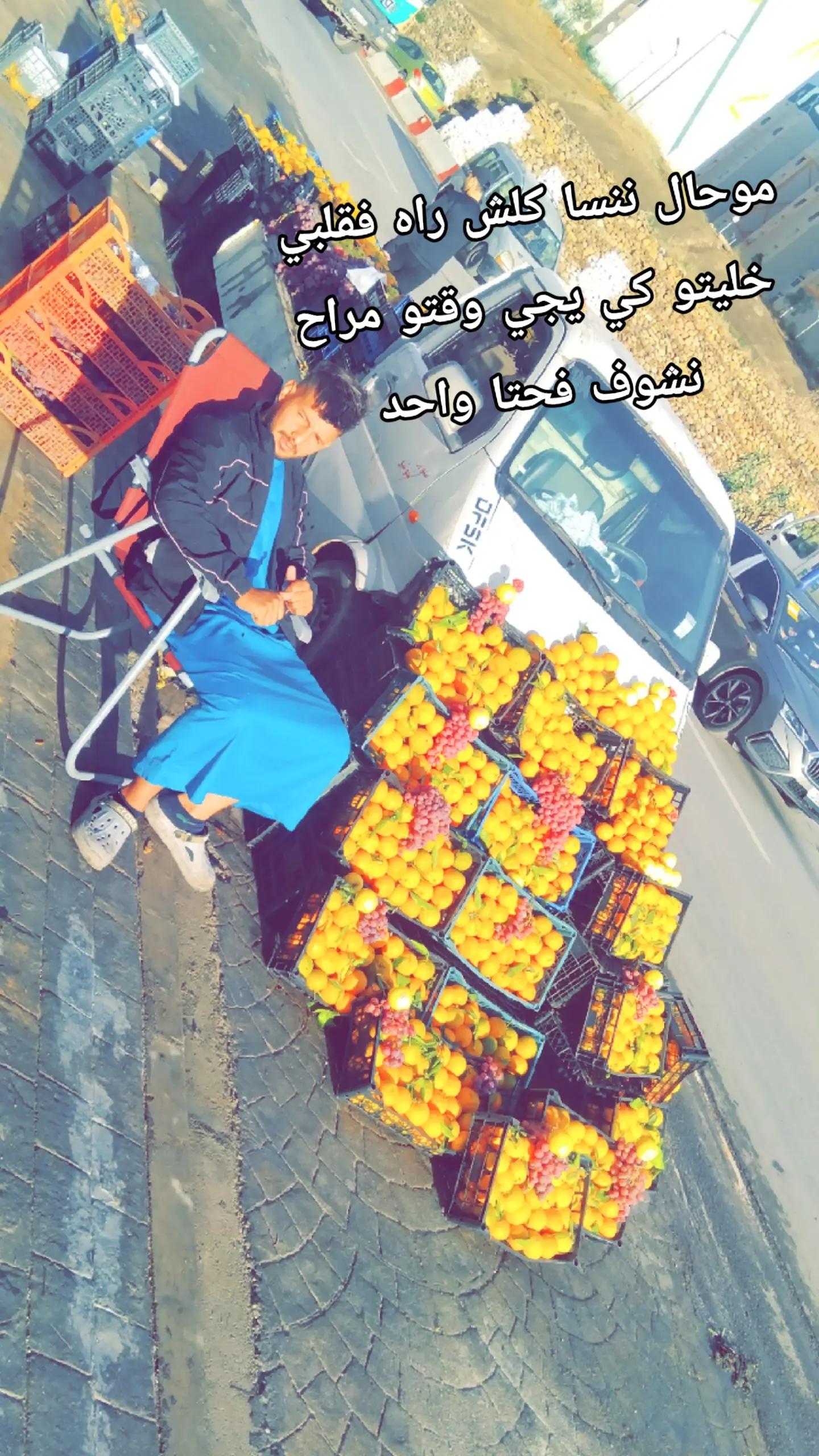 @Amine Dz16 👑