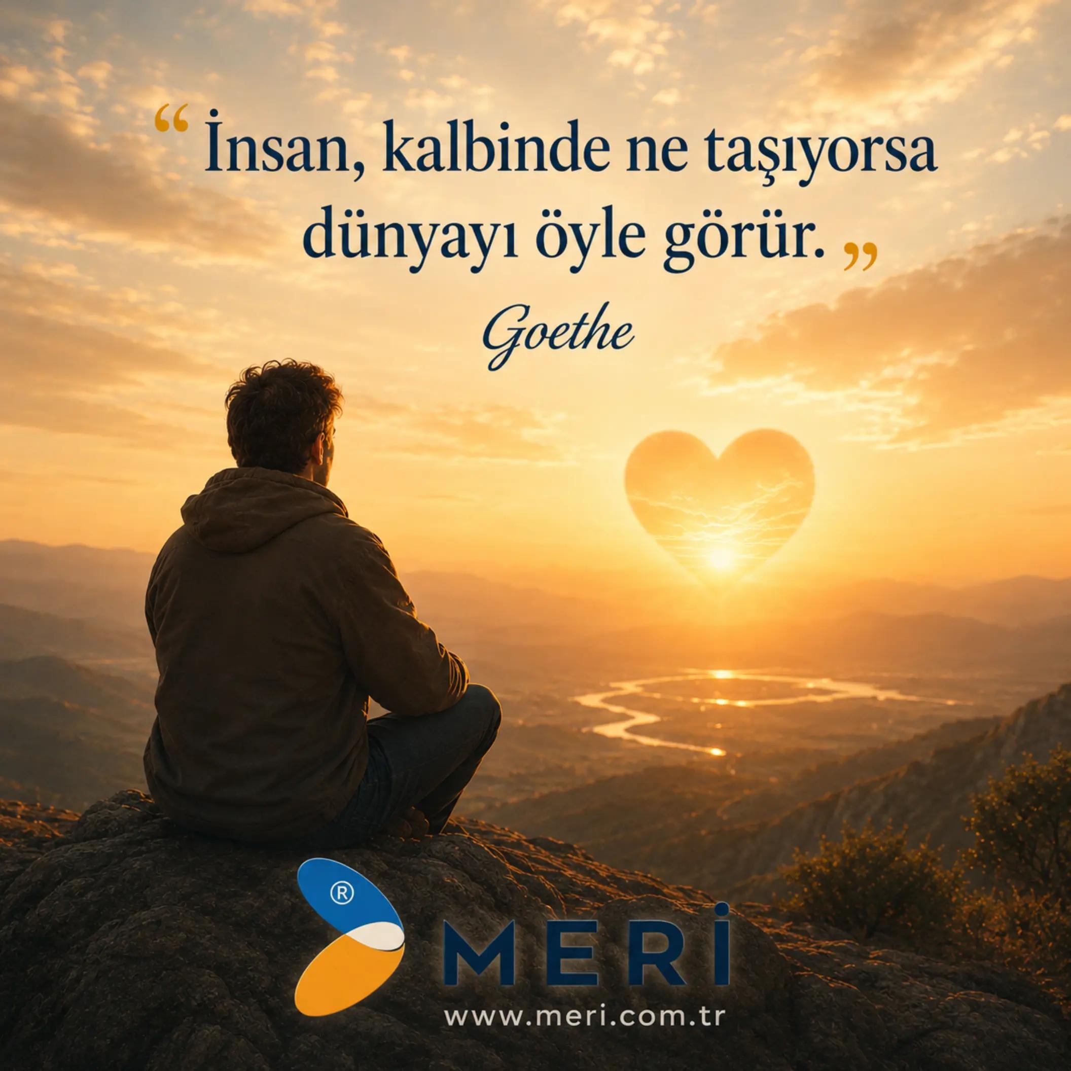 @Meri Sineklik İsmail Kurt