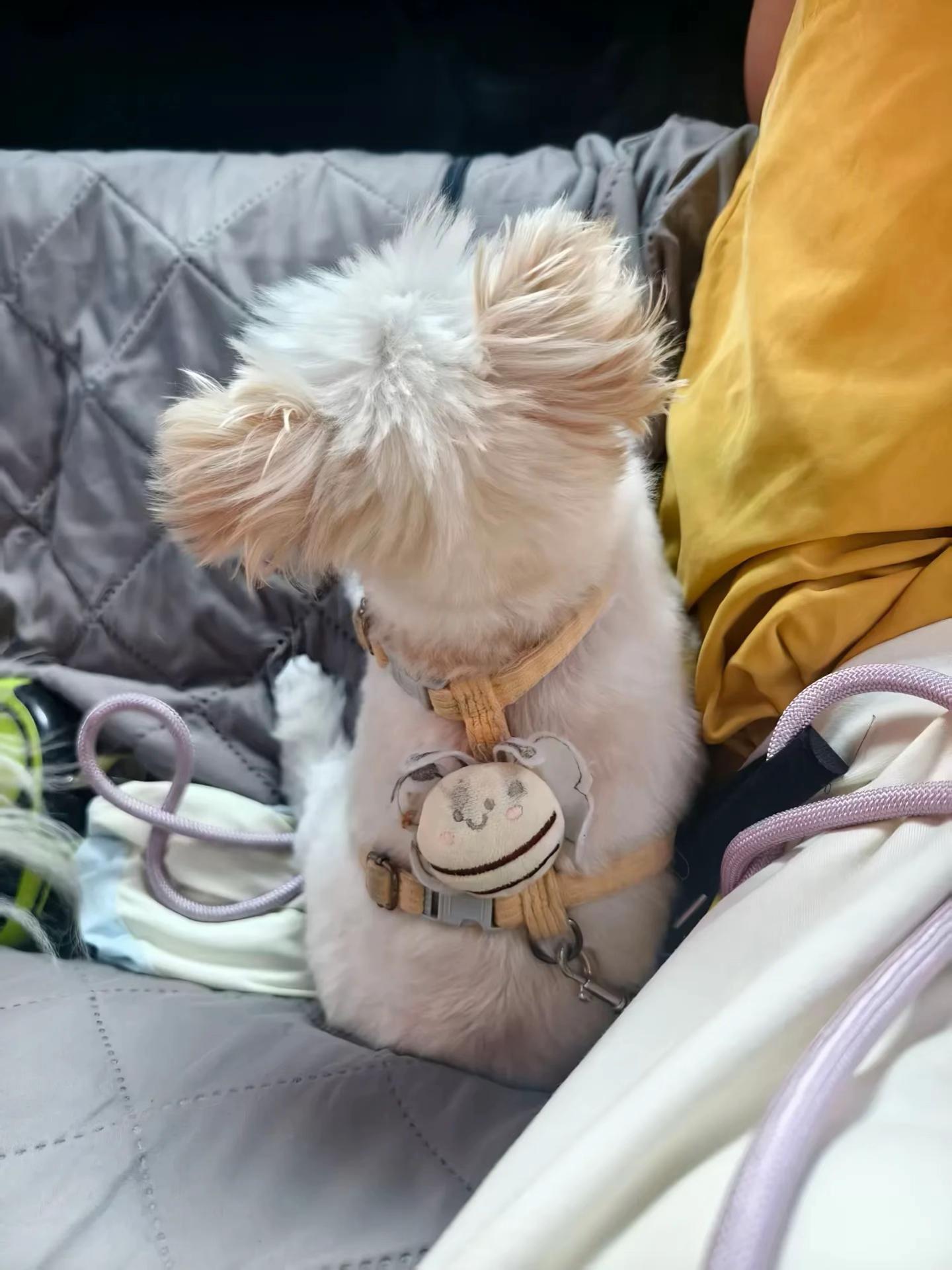 @hani 🧸ིྀ