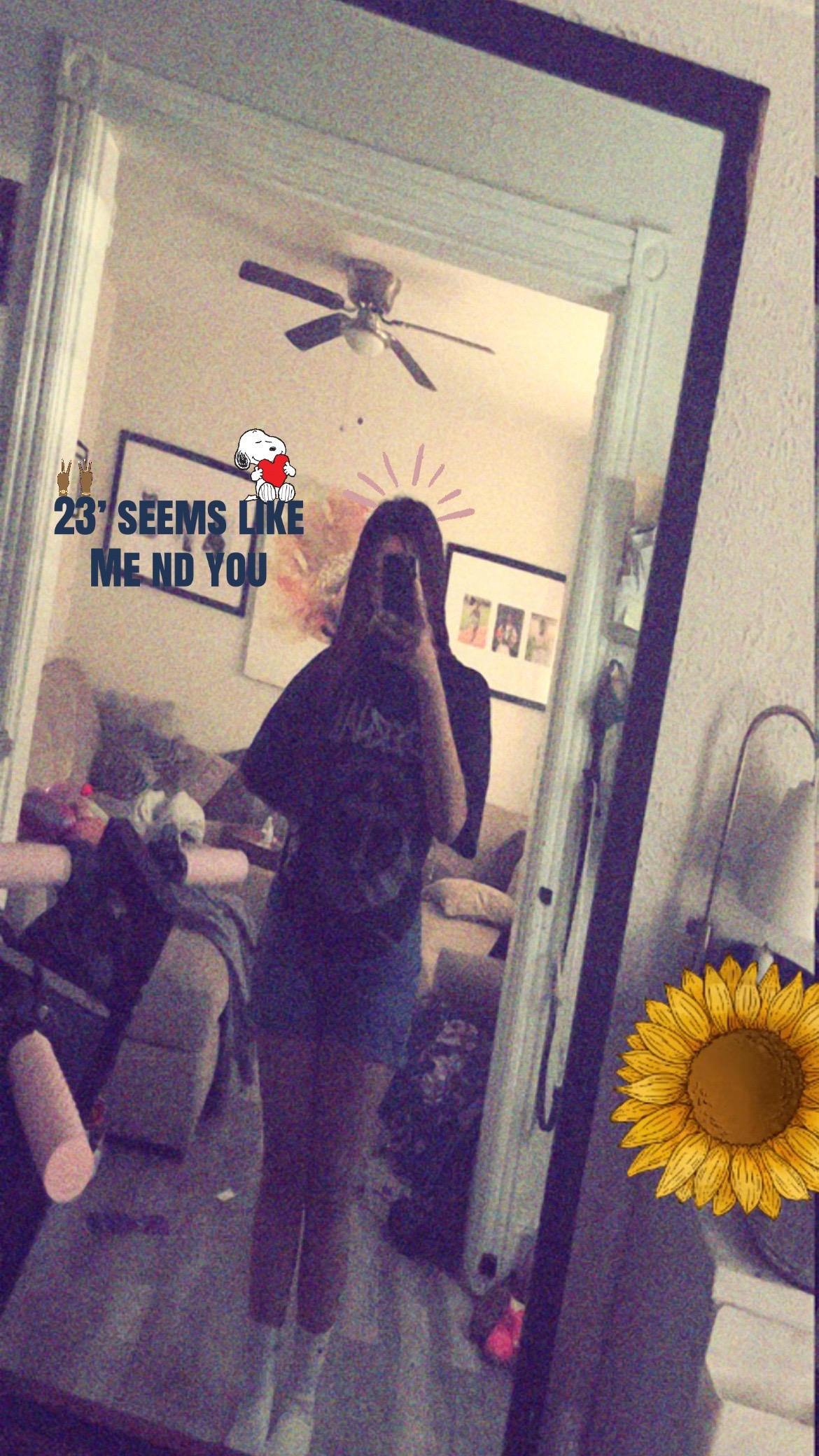 @🕸️ 🕸️