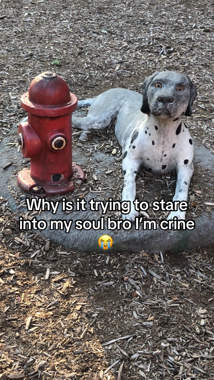 @⭐️ KALI ⭐️