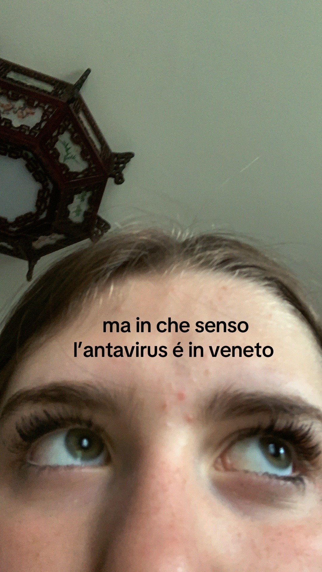 @spamm.elee