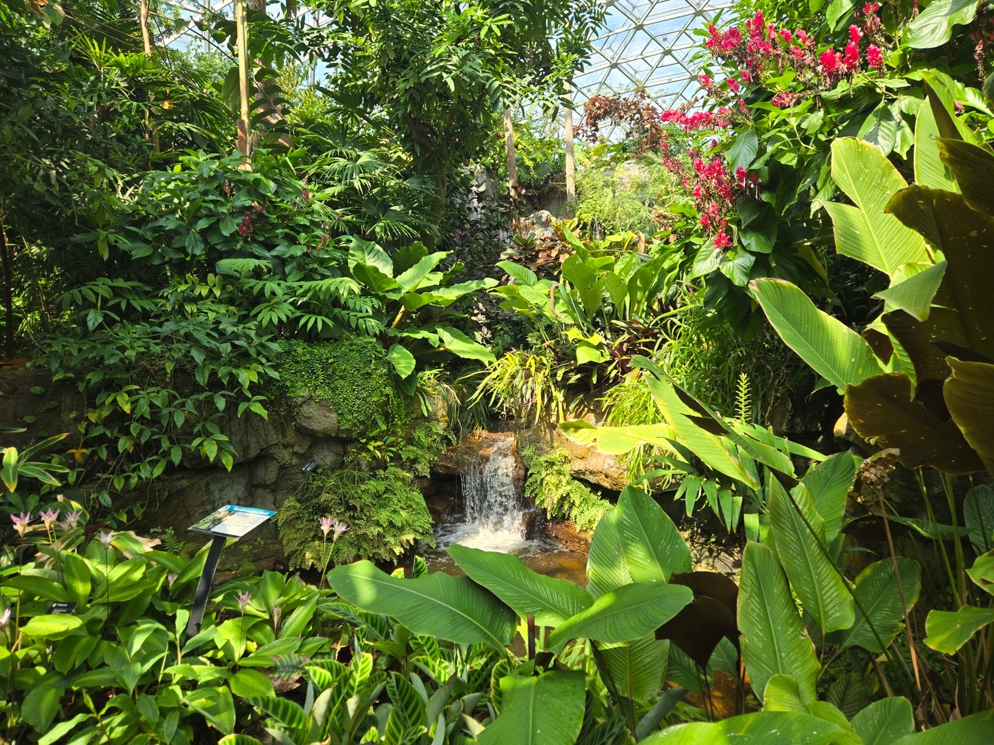 @bsu greenhouse